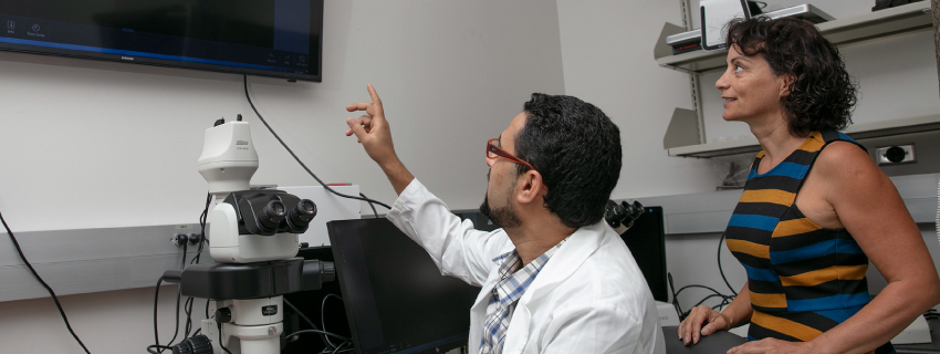 photo of researchers