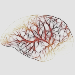 Neurobehavior Core
