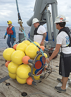 Engineer using equipment outside
