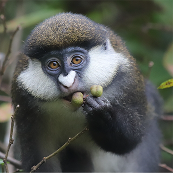 2021 photo contest Feeding Time