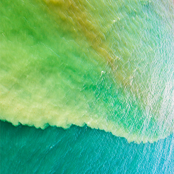 2021 photo contest surface colors of estuary