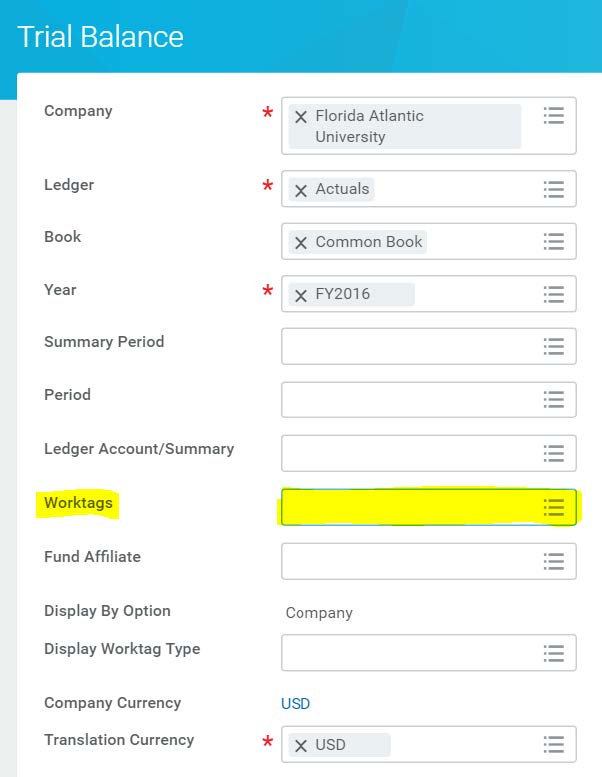 Screenshot of a Trial Balance accounting form in a software interface. Key fields are populated: Company (Florida Atlantic University), Ledger (Actuals), Book (Common Book), and Year (FY2016). The Worktags field is highlighted in yellow.