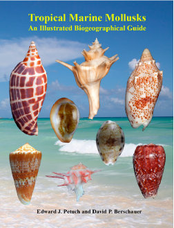 Tropical Marine Mollusks