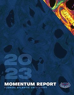 Research Rising - Momentum Report Cover