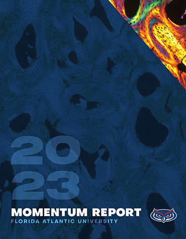 Momentum report image