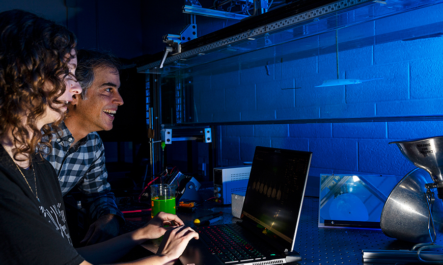 video cover SiS Title