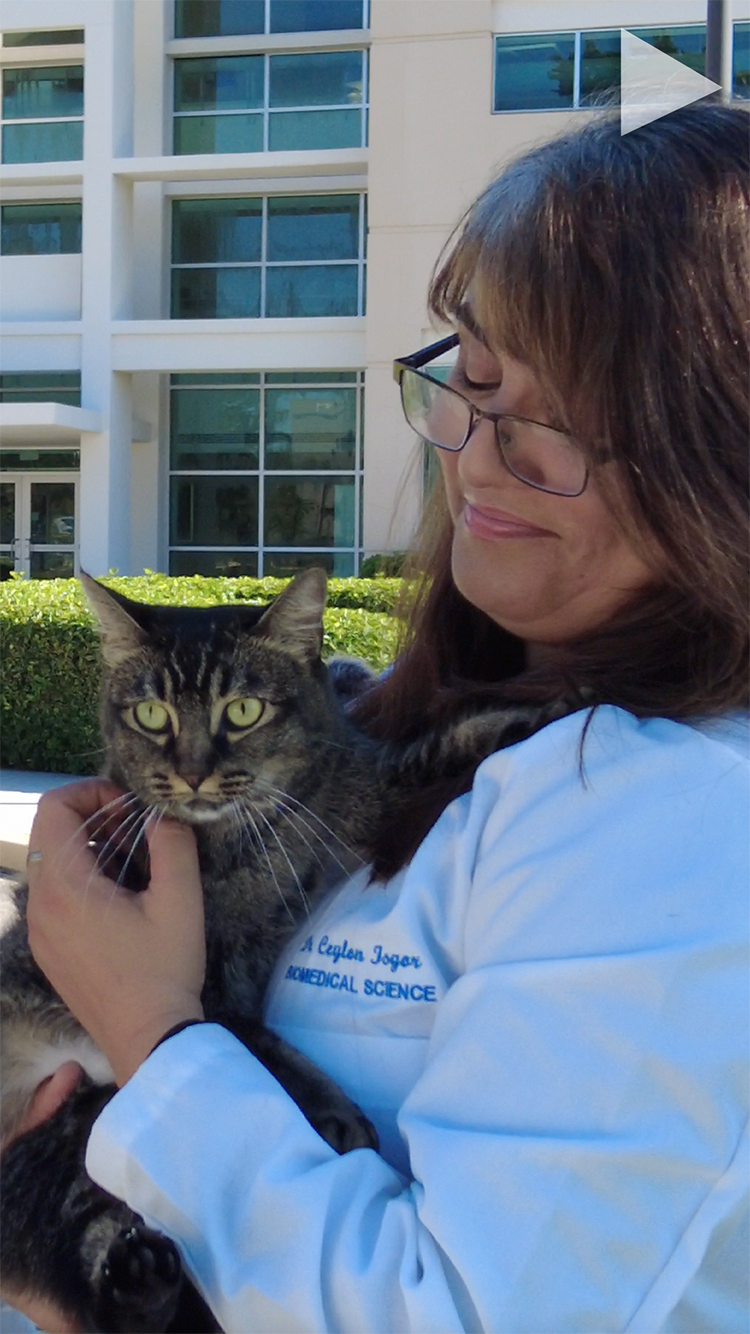 video cover How Pet Medicine Could Help Cancer Patients