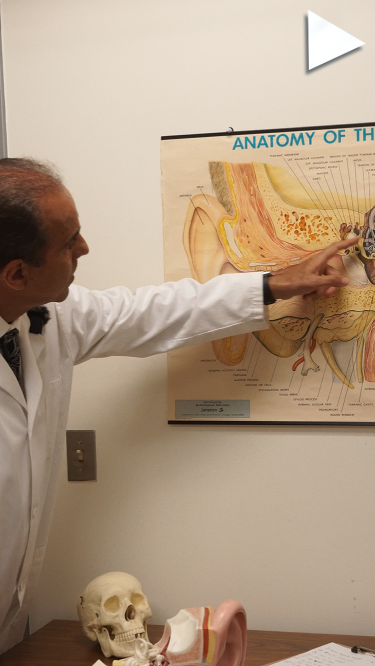 video cover SiS Title