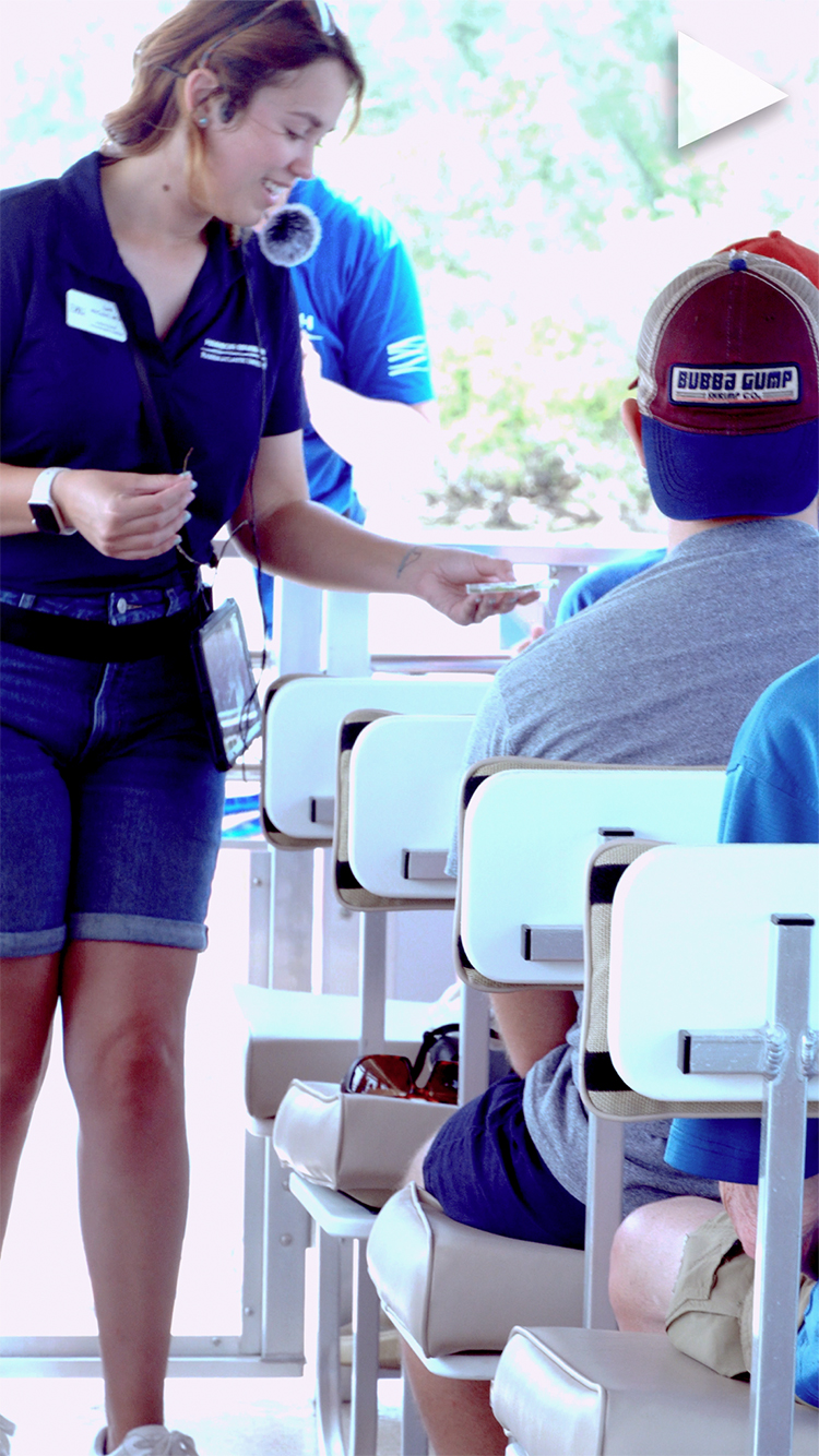 video cover video-title