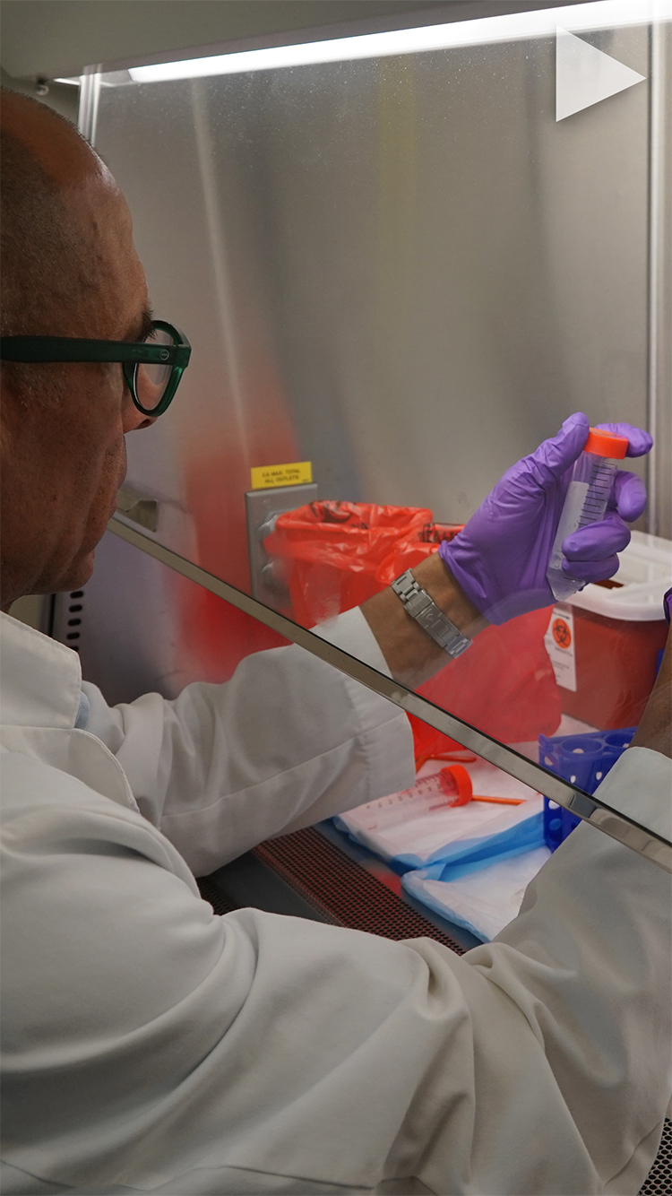 video cover video-title