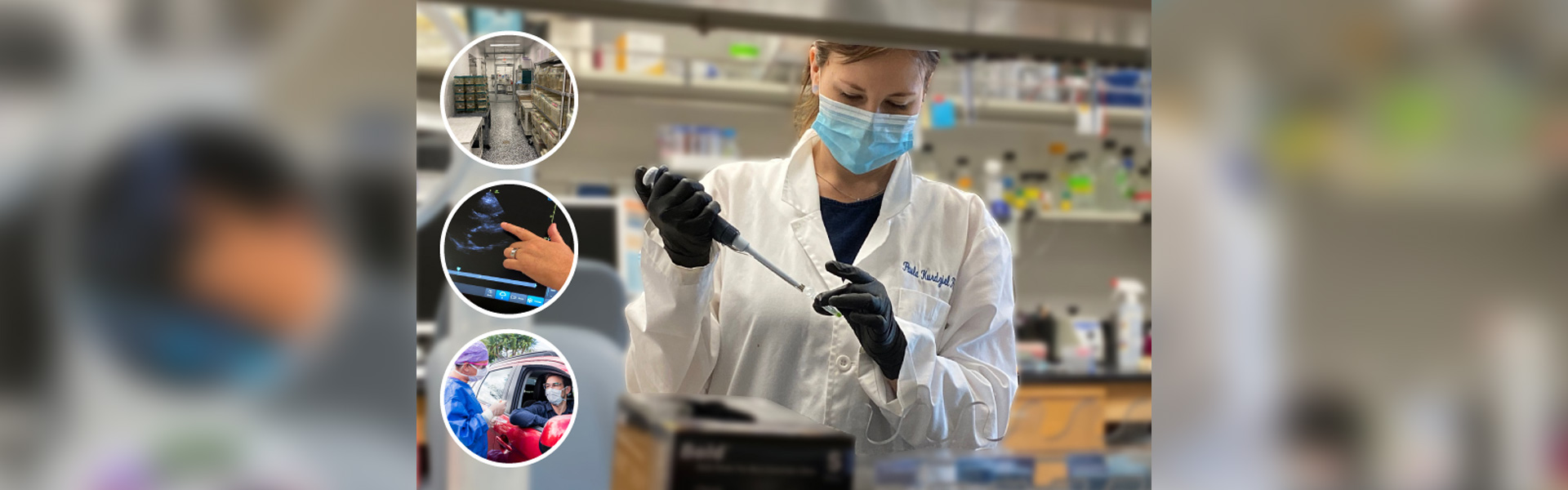 Predicting the unpredictable