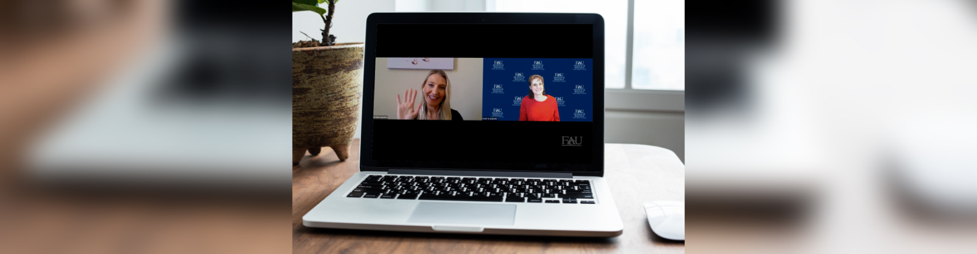 image of virtual presentation