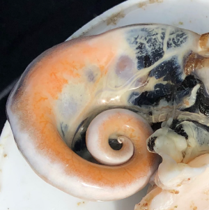 Gateway to Exploration