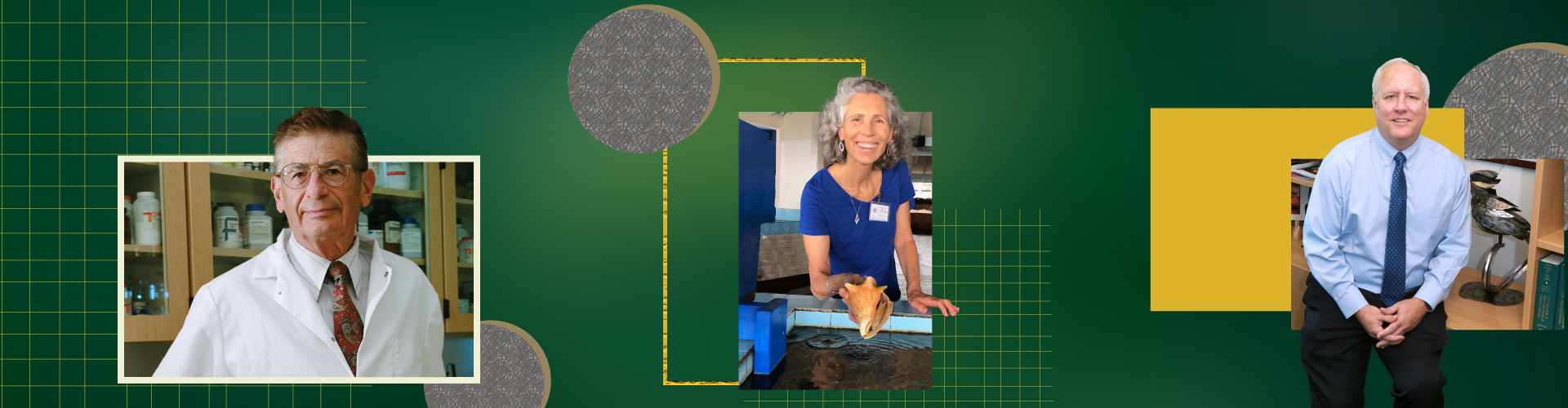 A New Decade Defined