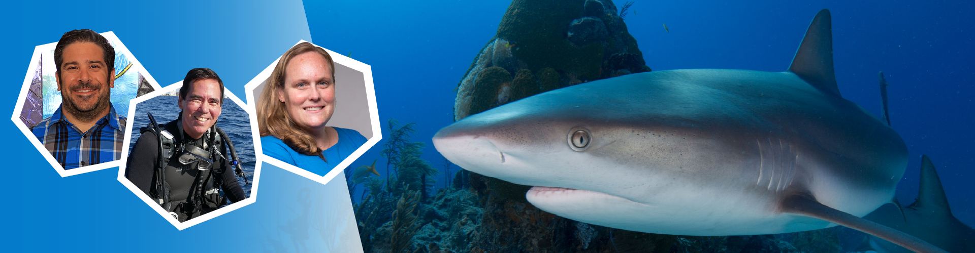 Title of Story goes here