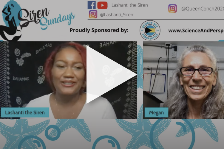 description of image