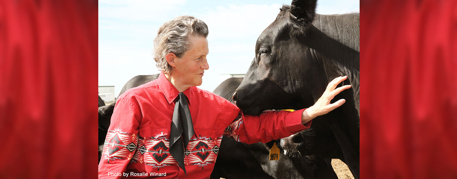 Great Minds are not all the Same