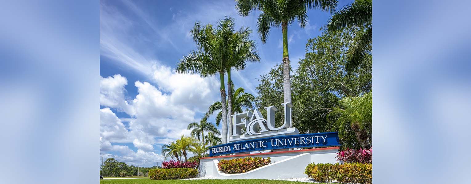 Number of NSF Early Career Awards Skyrocket