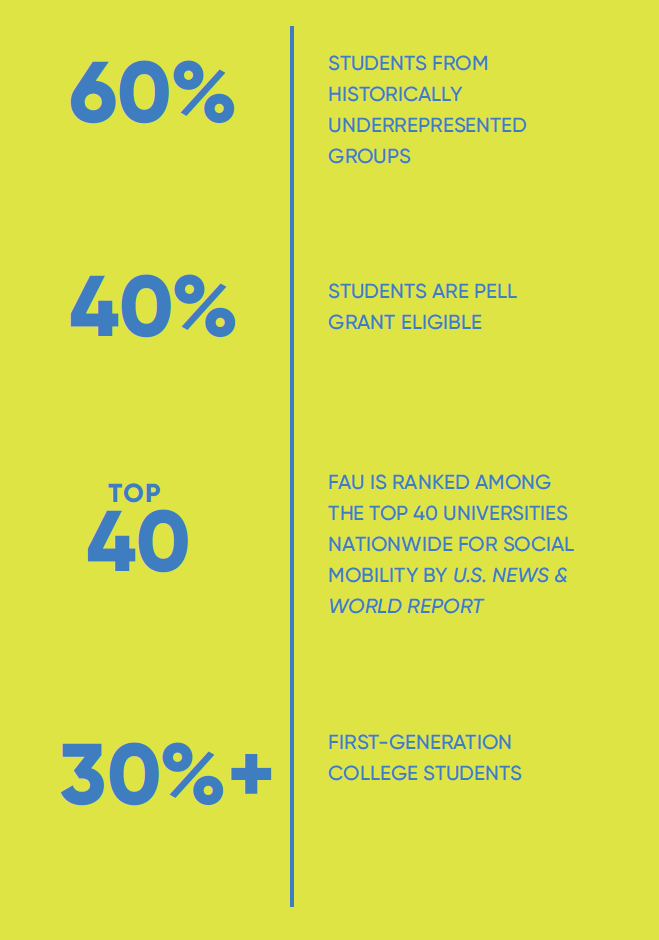 chart of diversity in students blue text on yellow background