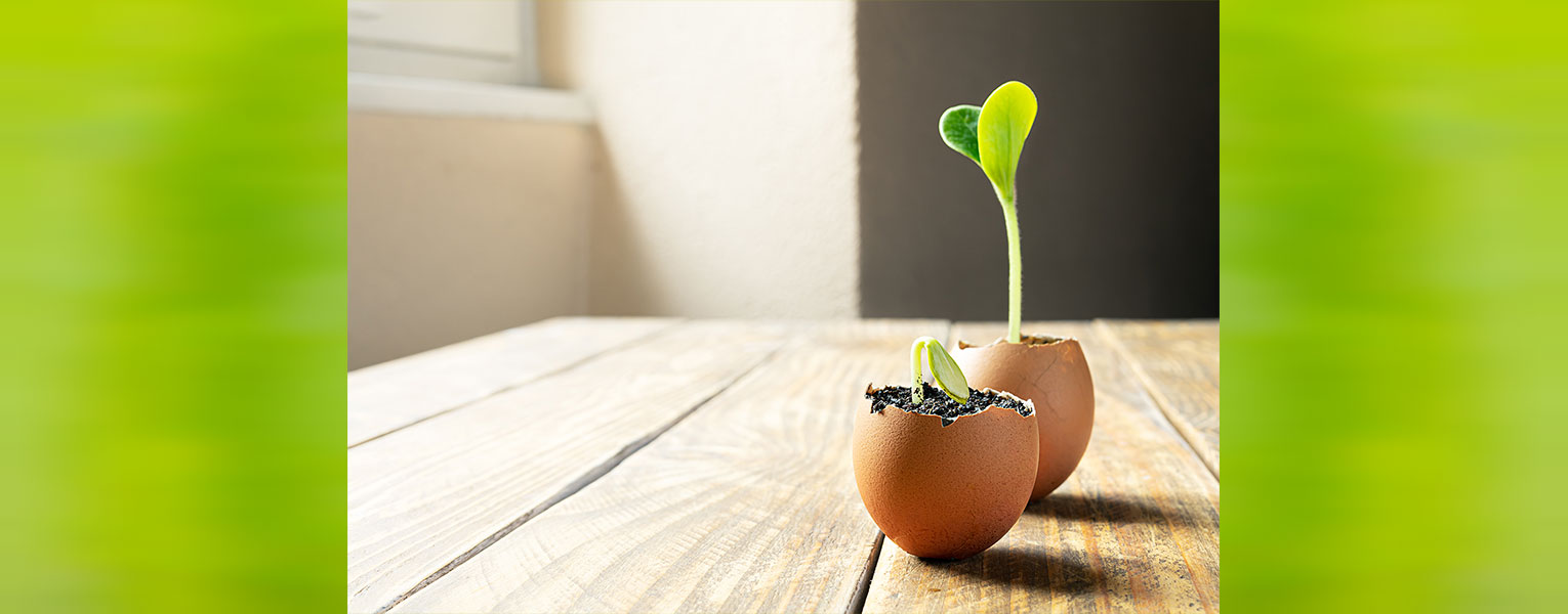 Cross-college Collaboration 