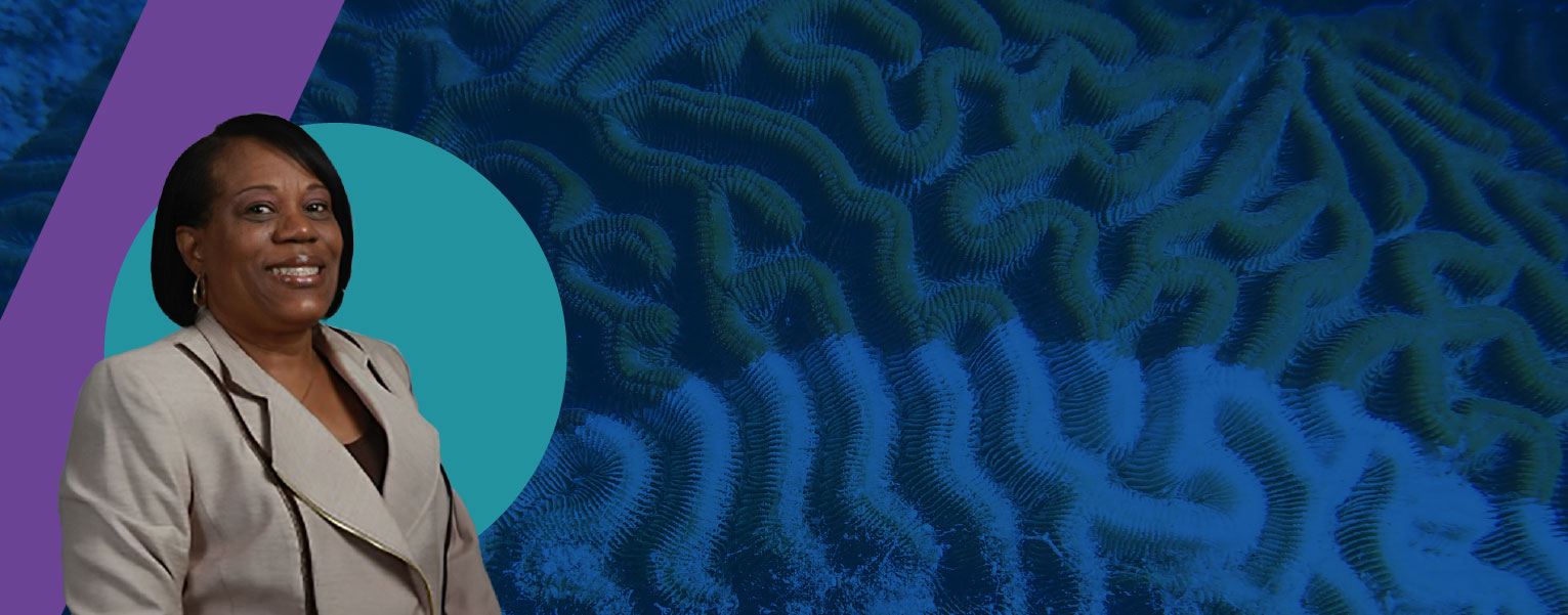 Art of Science: 2023 Judges Announced