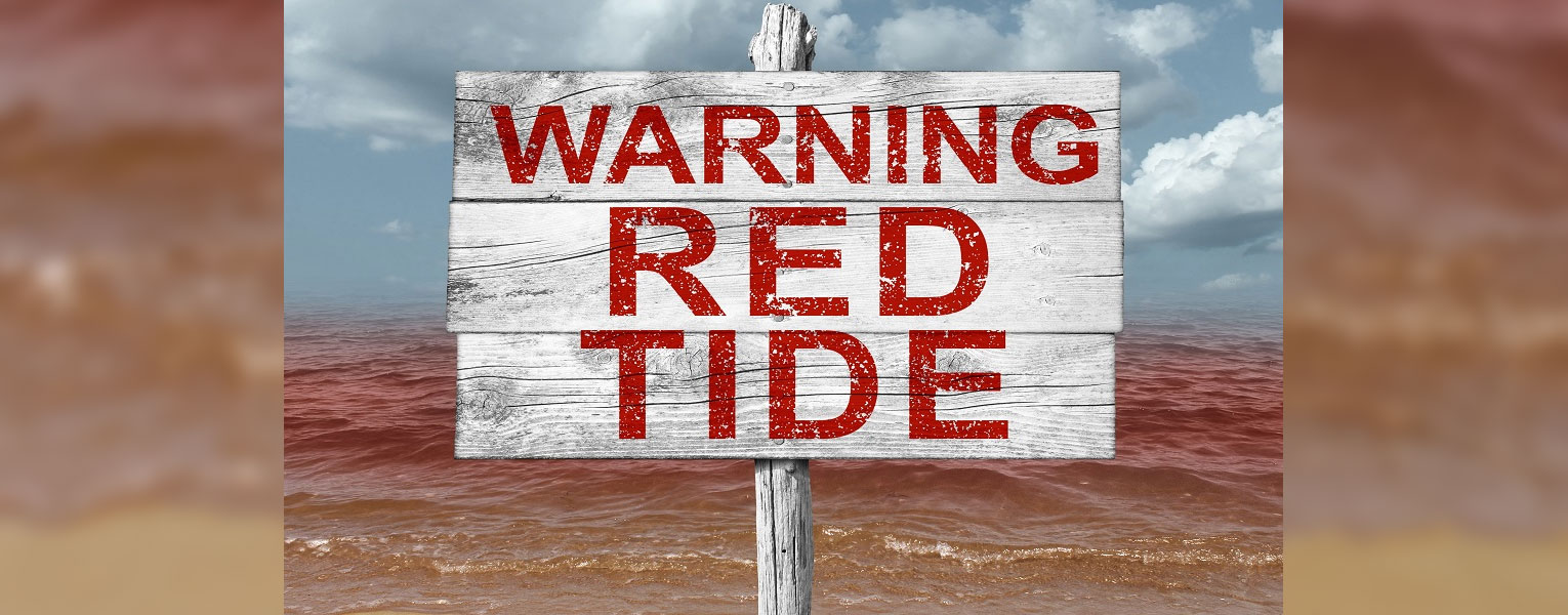 Red Tide Warning System