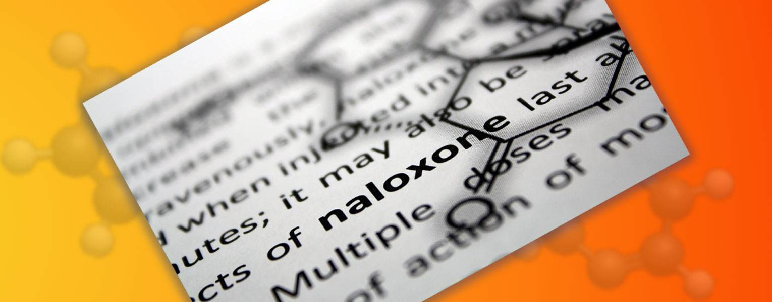 Researchers Endorse Widespread Naloxone to Stop Drug Overdose Deaths