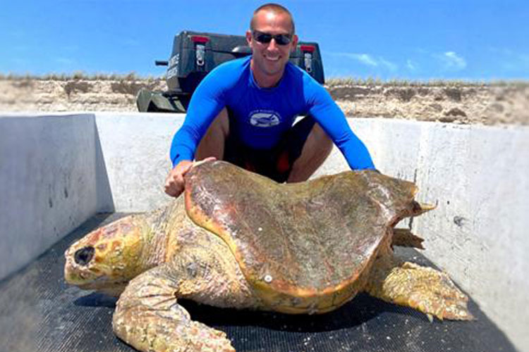 Sea Turtle Scientist Jeff Guertin
