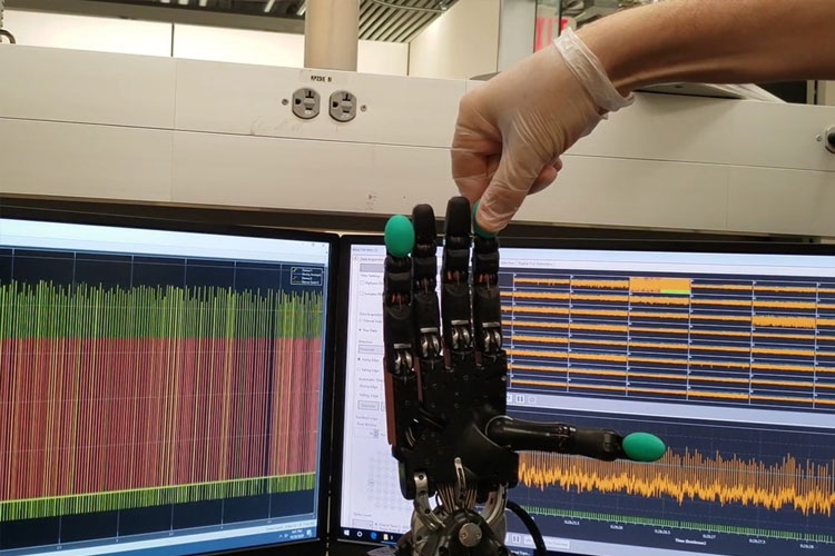 Biohybrid Robotic Hand