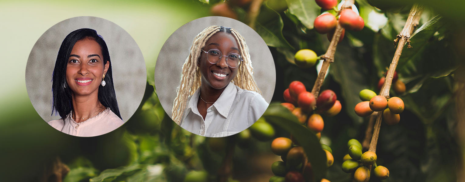 Business Spotlight: Brewing Success in the U.S. Market