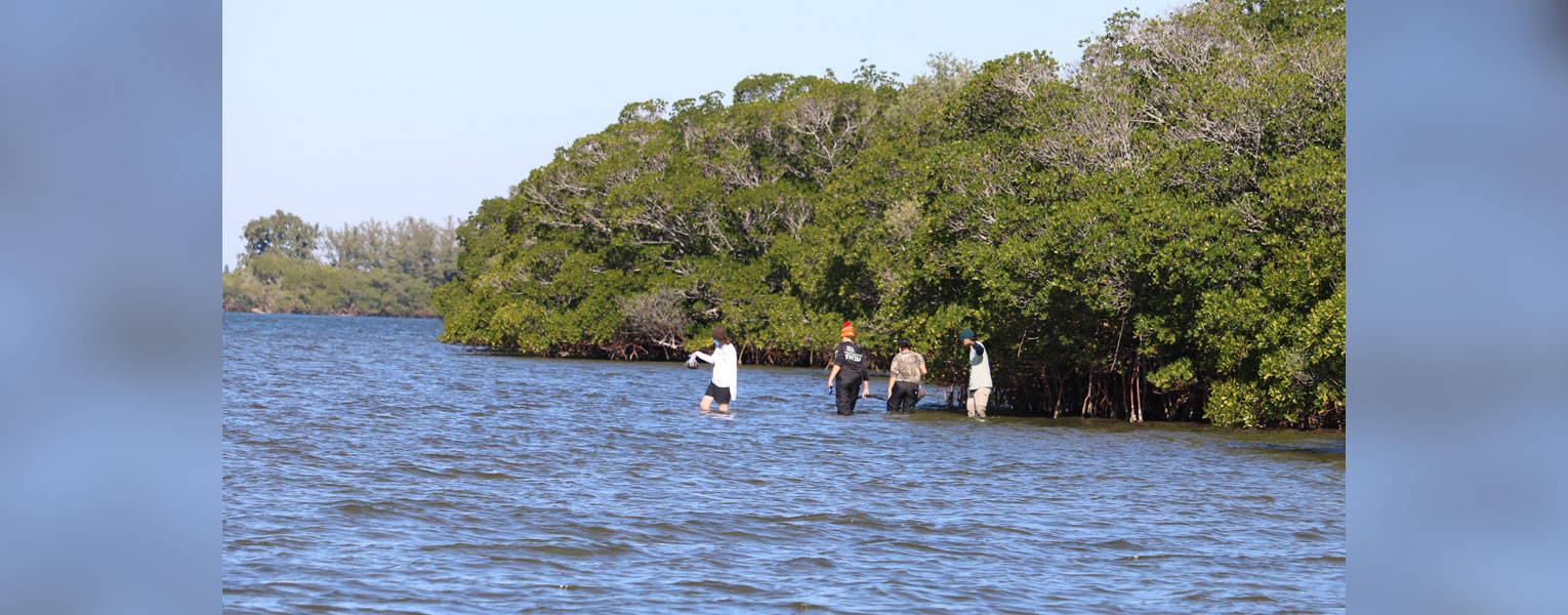 Diving into Marine Science