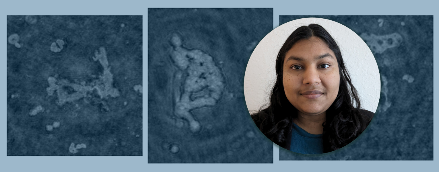 Postdoc Spotlight: Karuna Agarwal, Ph.D. 