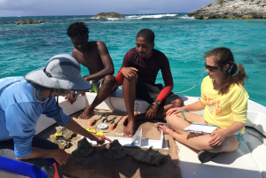 tagging of the queen conch in The Bahamas summer 2019