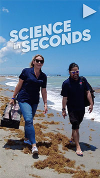 video cover Welcome to Science in Seconds