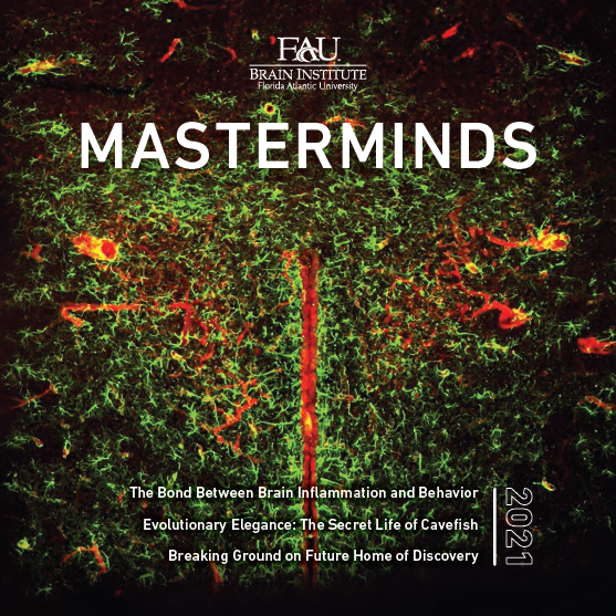 Microscopic neural structures with 'MASTERMINDS' text and FAU Brain Institute logo.