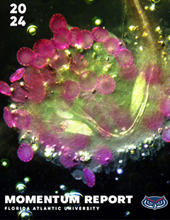 Abstract microscopic view of purple-pink structures with greenish-yellow background
