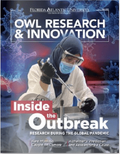 Owl Research and Innovation, Fall 2020