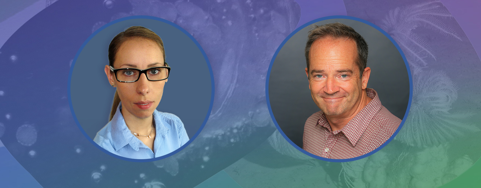 Finding Art: From Cells to Seas