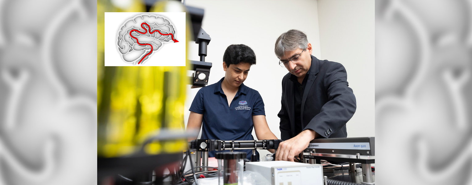 Scientist Model Brain’s Blood Flow 