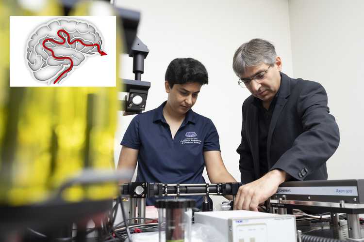 Mapping the Brain’s Blood Flow