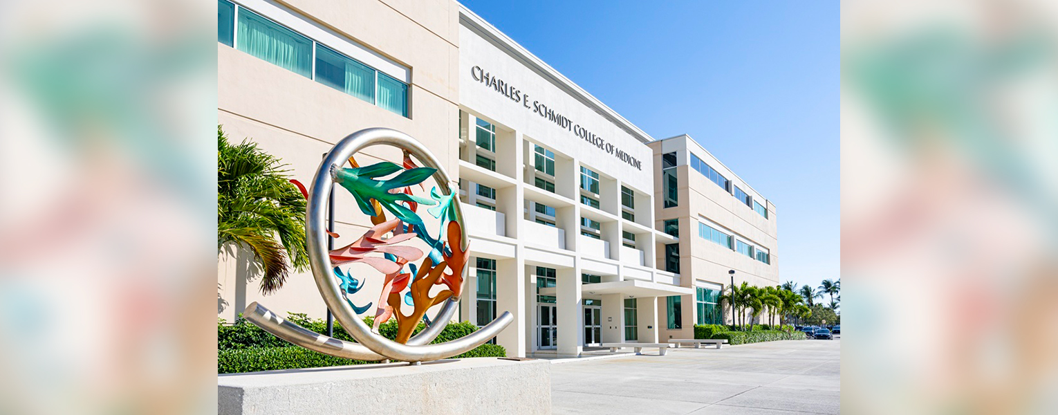 Promising Treatment for PTSD and Co-Occurring Disorders