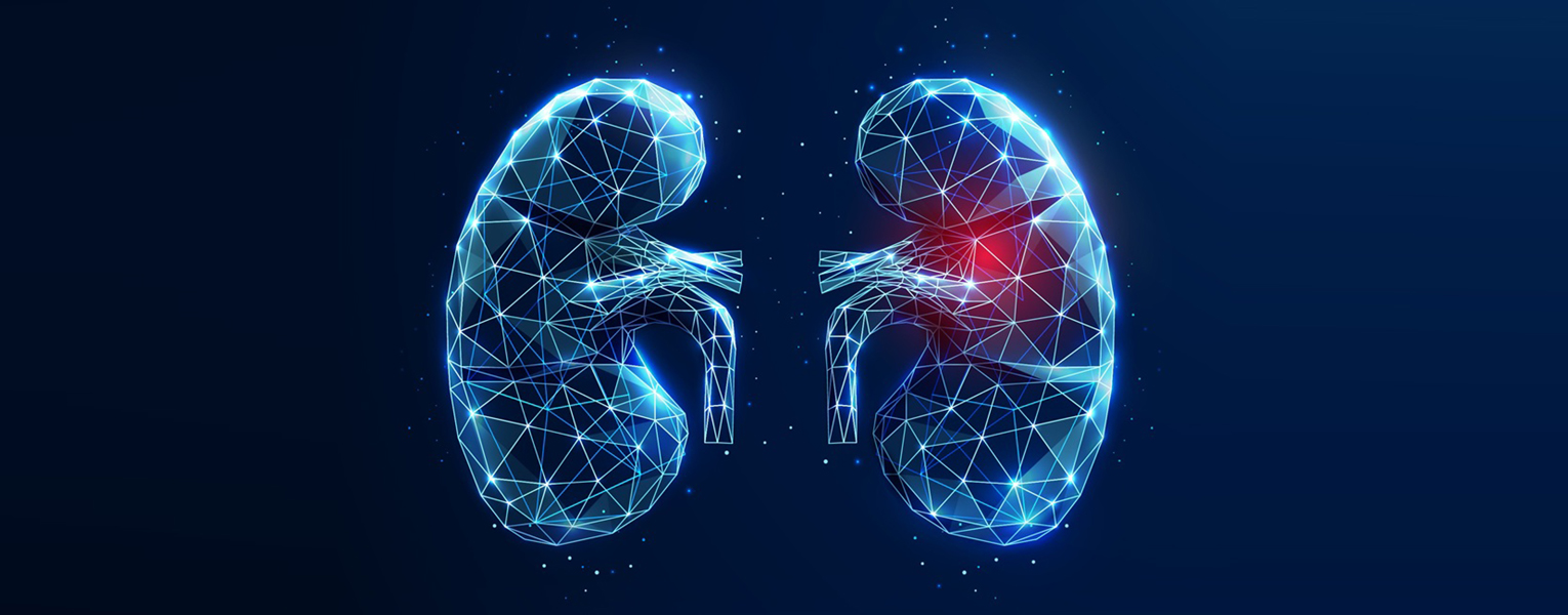 blue and red abstract image of two glowing kidneys