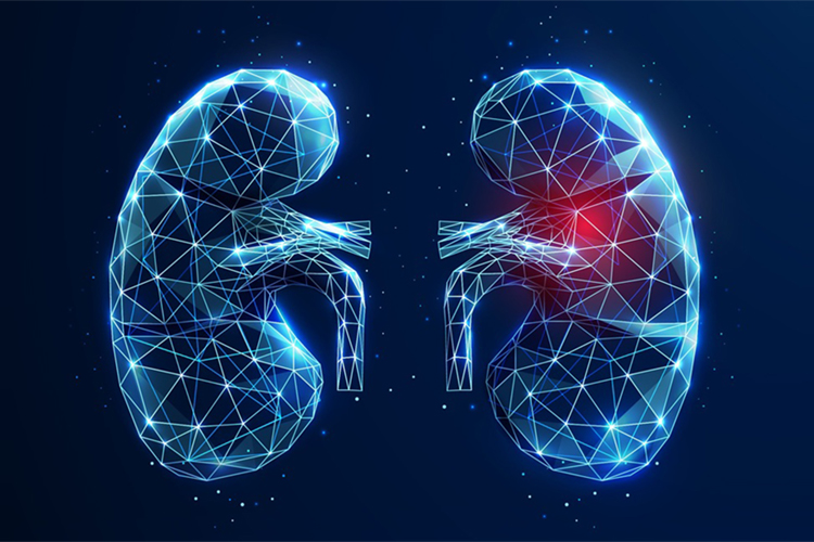 ‘Quantum Leap’ to Kidney Disease Detection