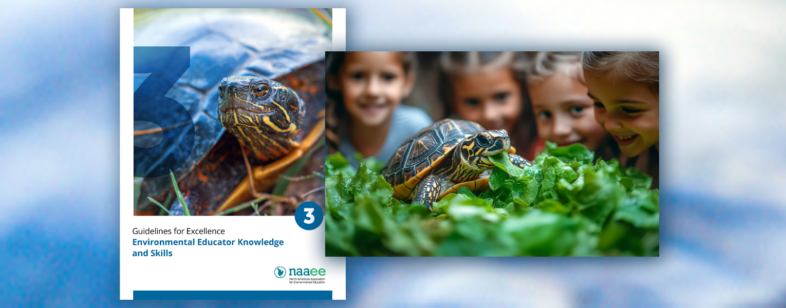 book cover with turtle; four children watching a turtle