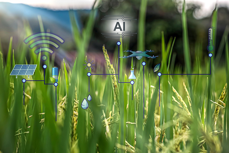field with superimposed AI icons