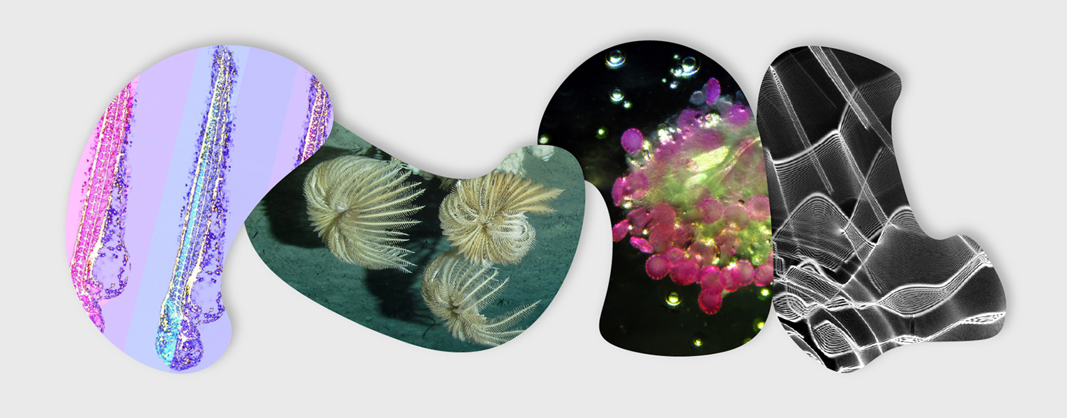 Science Never Looked This Good