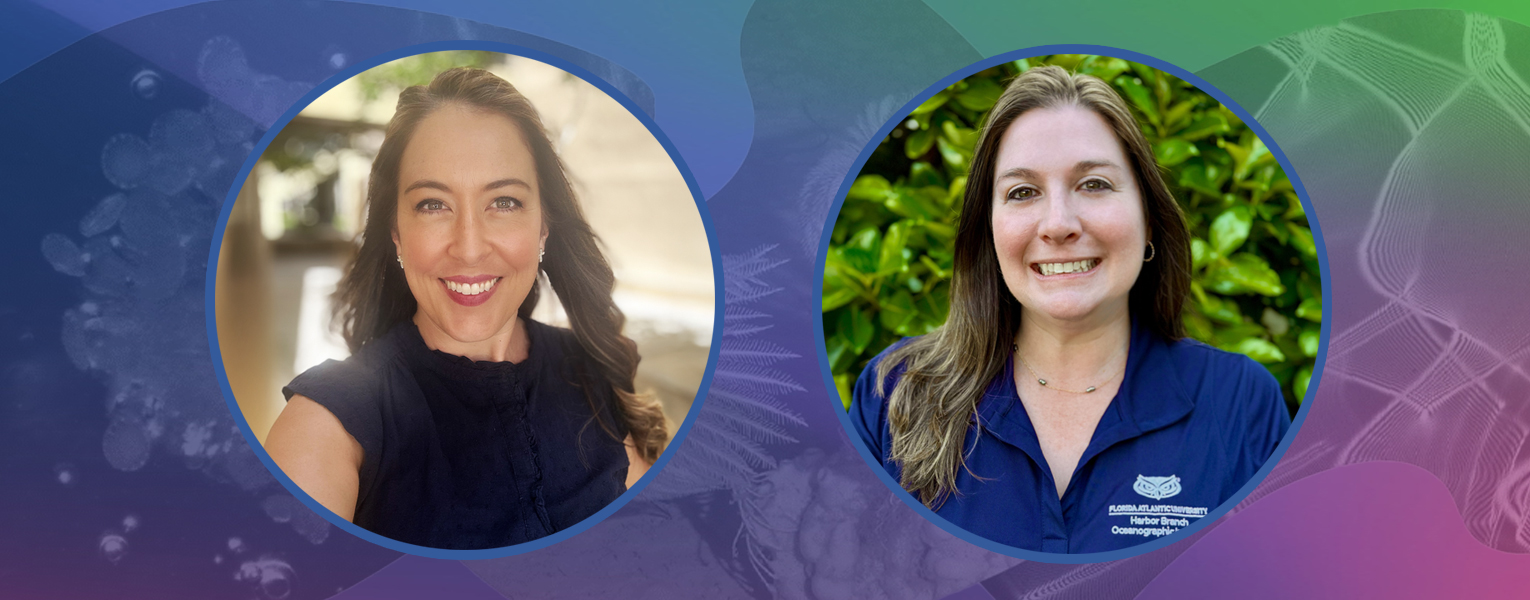 7 Years Celebrating Science Through Art