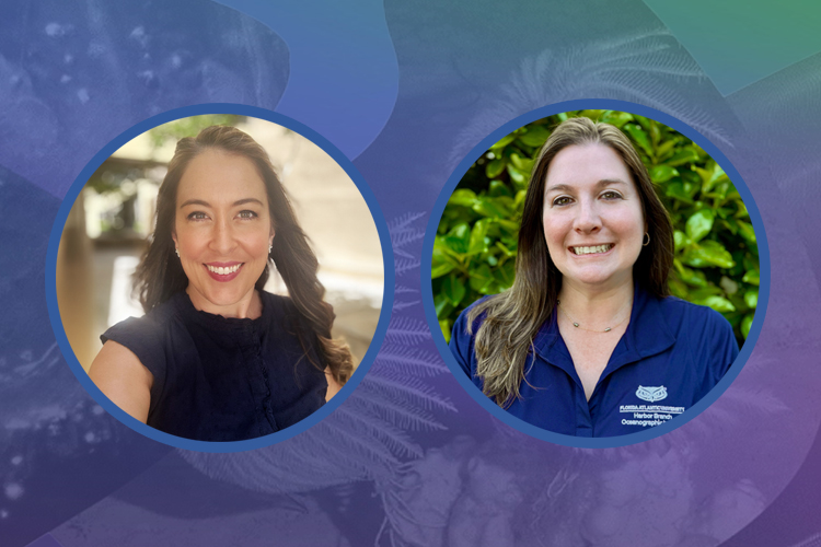 7 Years Celebrating Science Through Art