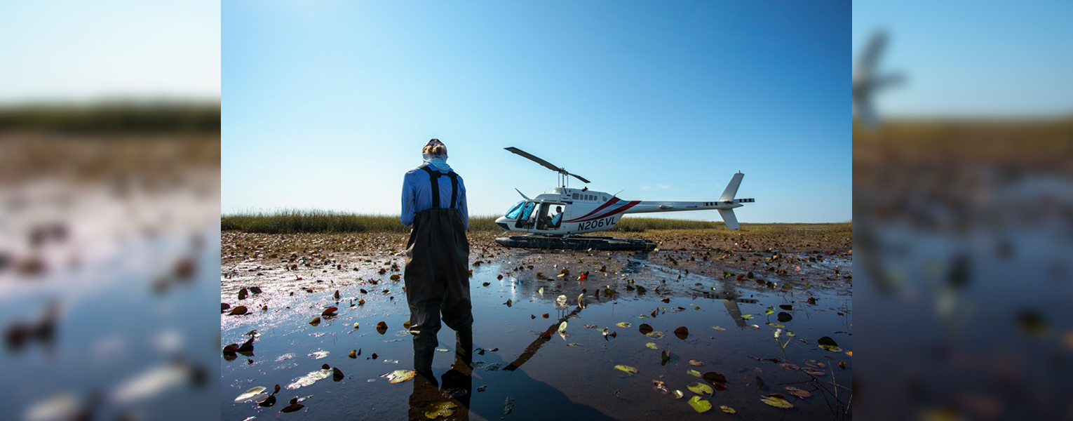 person standing in swamp with helicopter in background