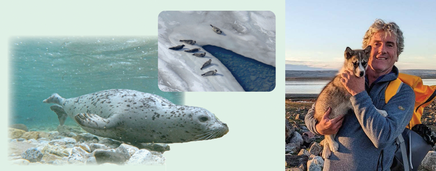 Uncovering A New Subspecies